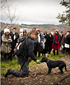 Truffle Hunt