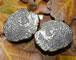 Truffles