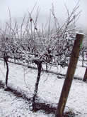 Winter in the Alpine Valleys