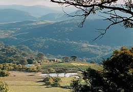 Brindabella Hills vineyards