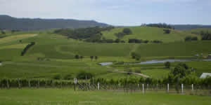 Crooked River Wines