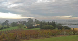Silos Estate