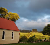Leaning Church Vineyard